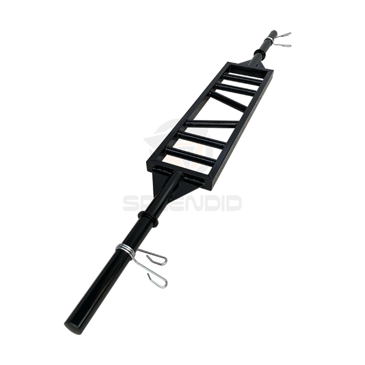 Олимпијски швајцарски бар